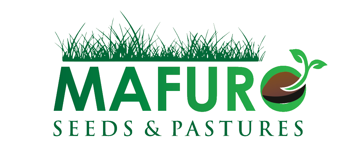 mafuro-seeds-pastures-logo